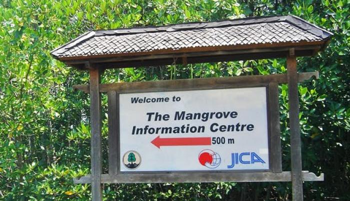 Tips Traveling Ke Hutan Mangrove Ngurah Rai, Denpasar Bali